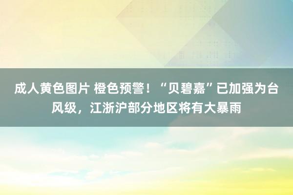 成人黄色图片 橙色预警！“贝碧嘉”已加强为台风级，江浙沪部分地区将有大暴雨